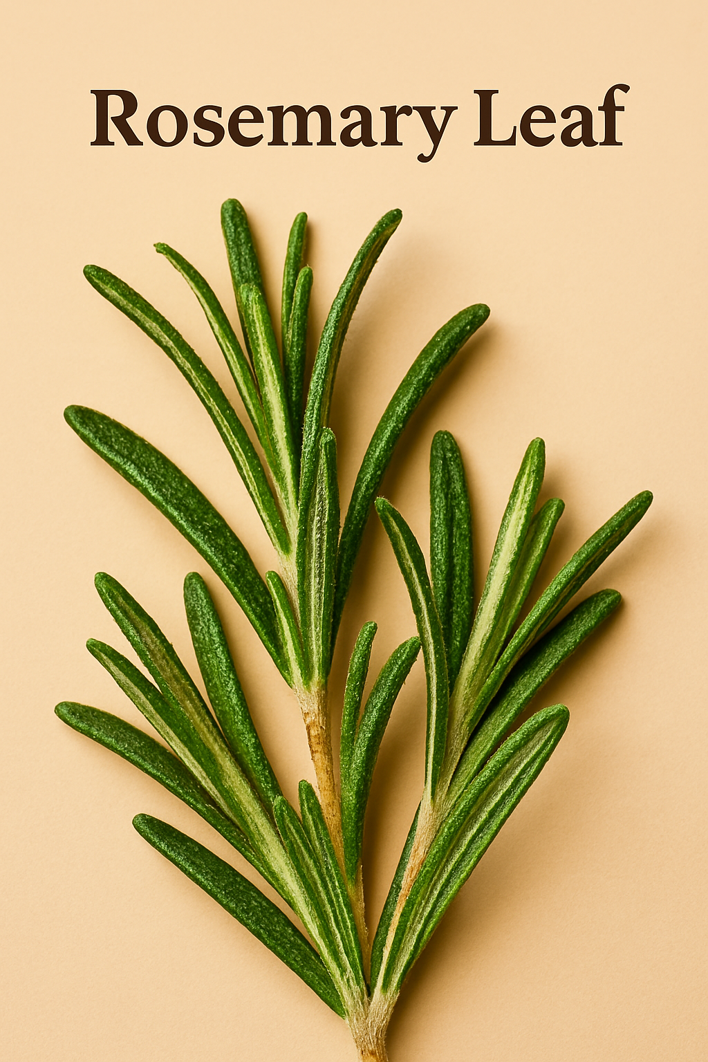 Sprightly Hair Growth